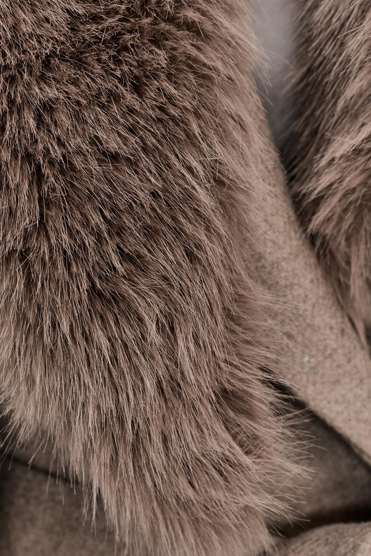 #A89083, Vison clair